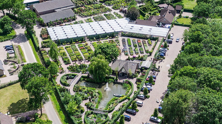 Tuinplantenwinkel.nl Knegsel afbeelding 2